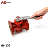 Safety Plug Valve Lockout